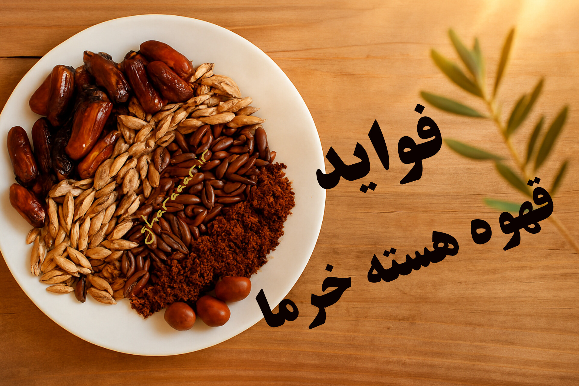 فواید قهوه هسته خرما