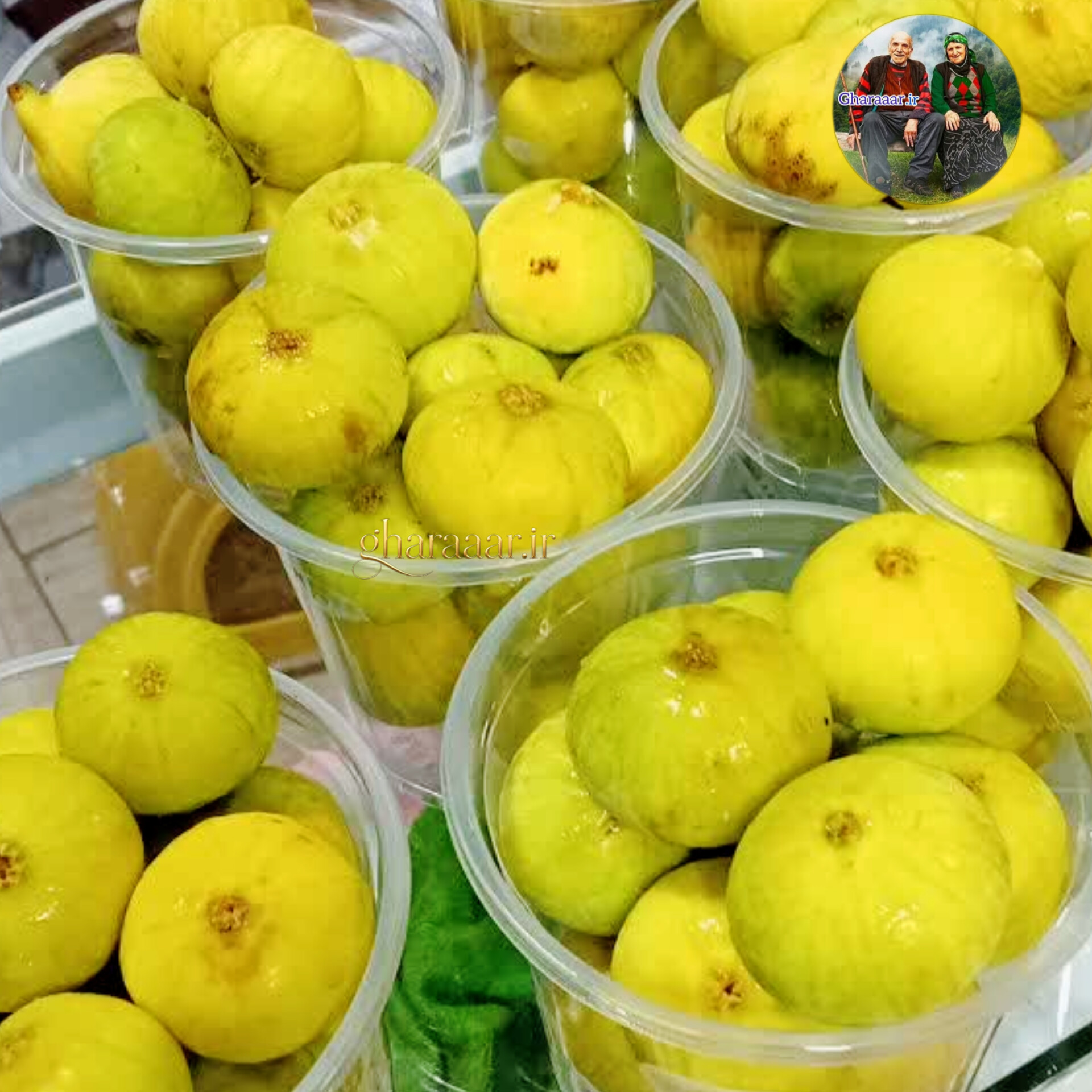 انجیر تازه‌چین