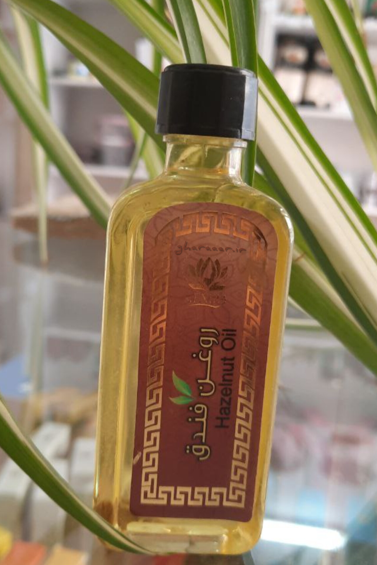 روغن فندق اکسیر