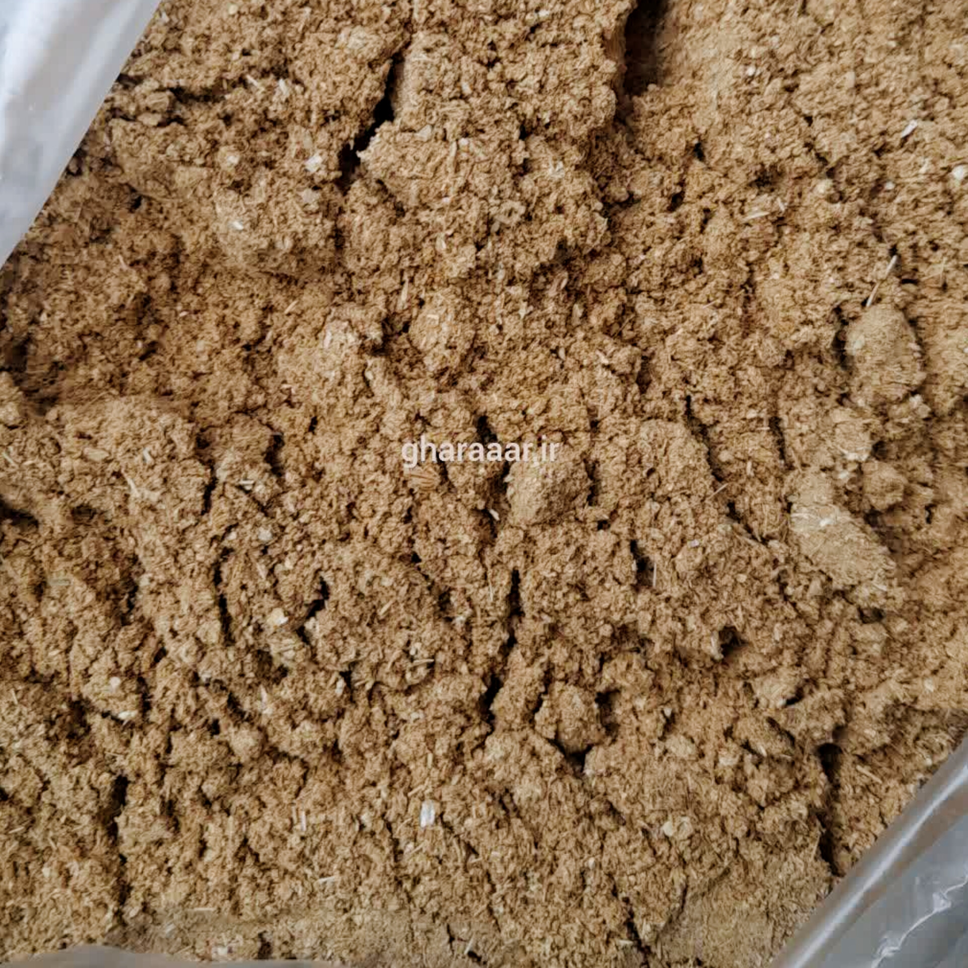 پودر گلپر