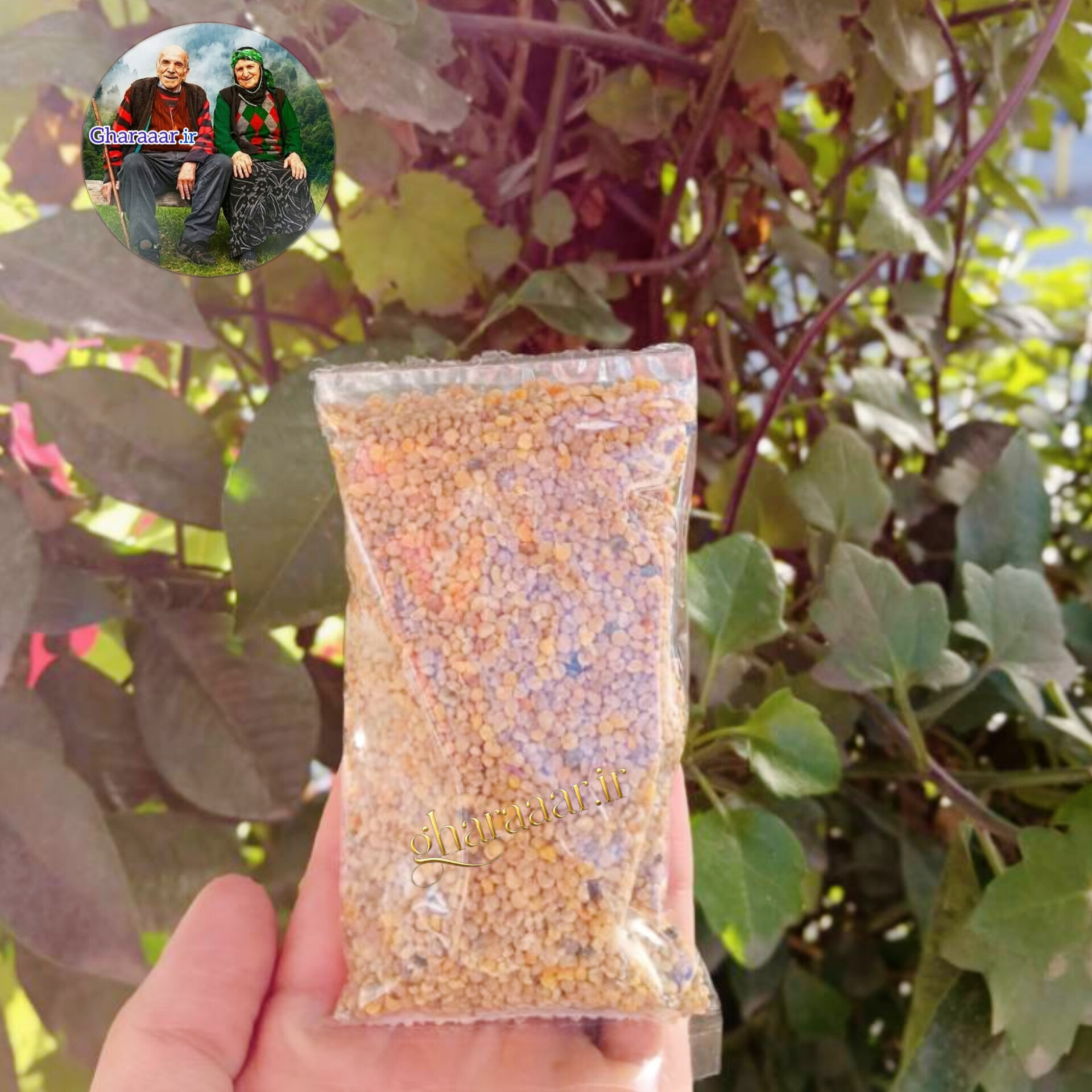 گرده گل بسته ۶۰ گرمی