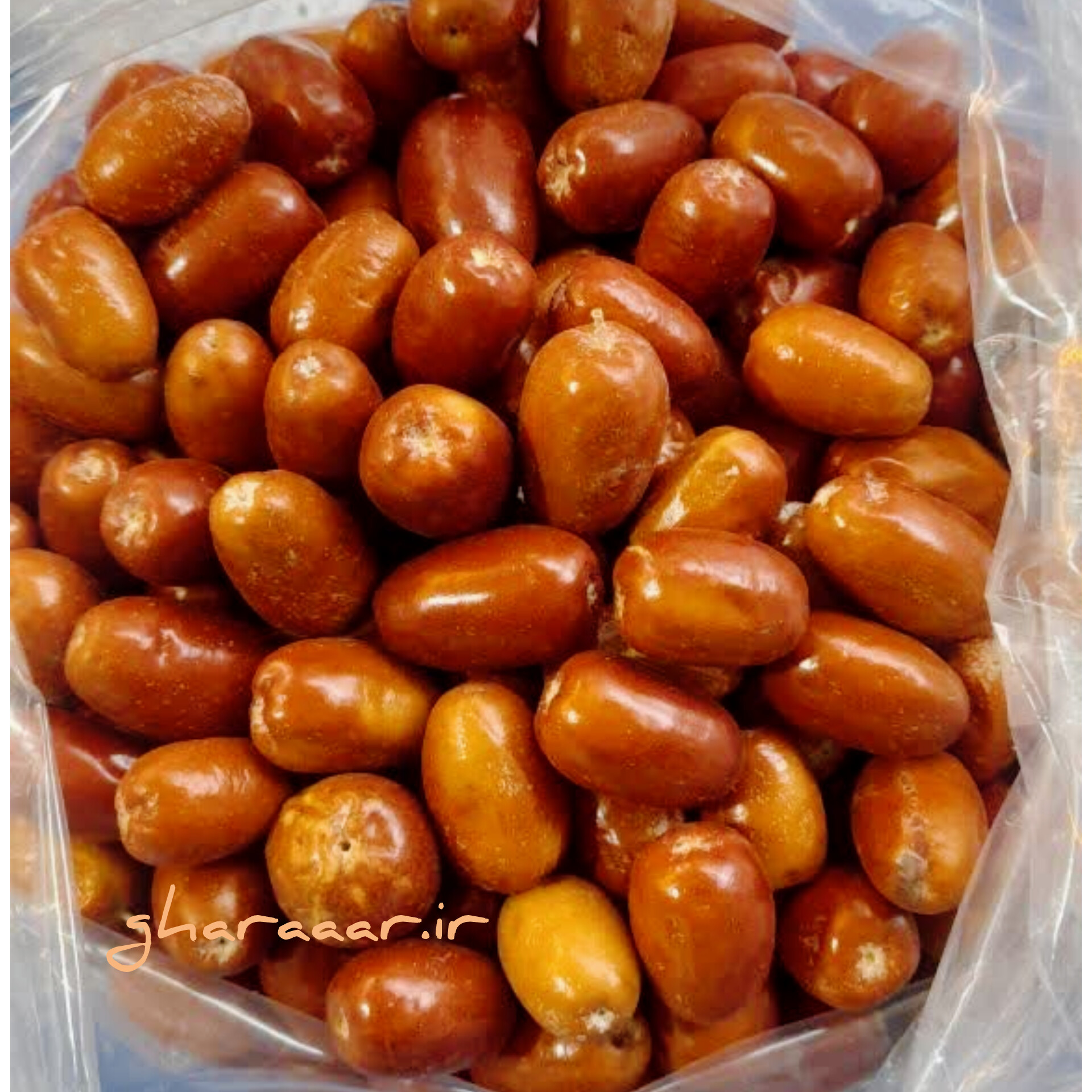 سنجد اعلاء