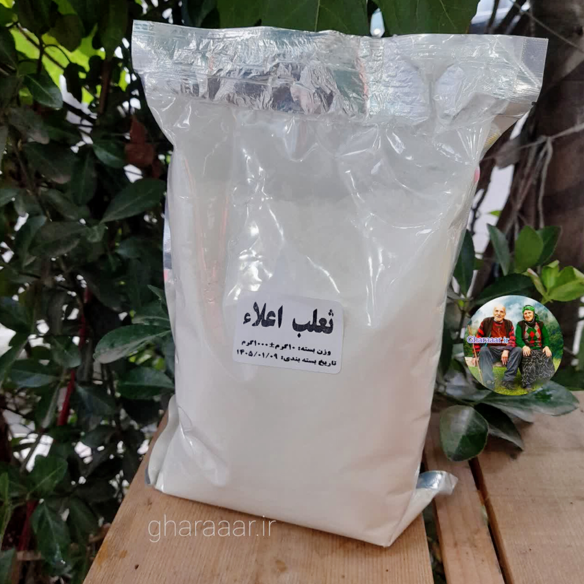 ثعلب ۱۰۰ گرم