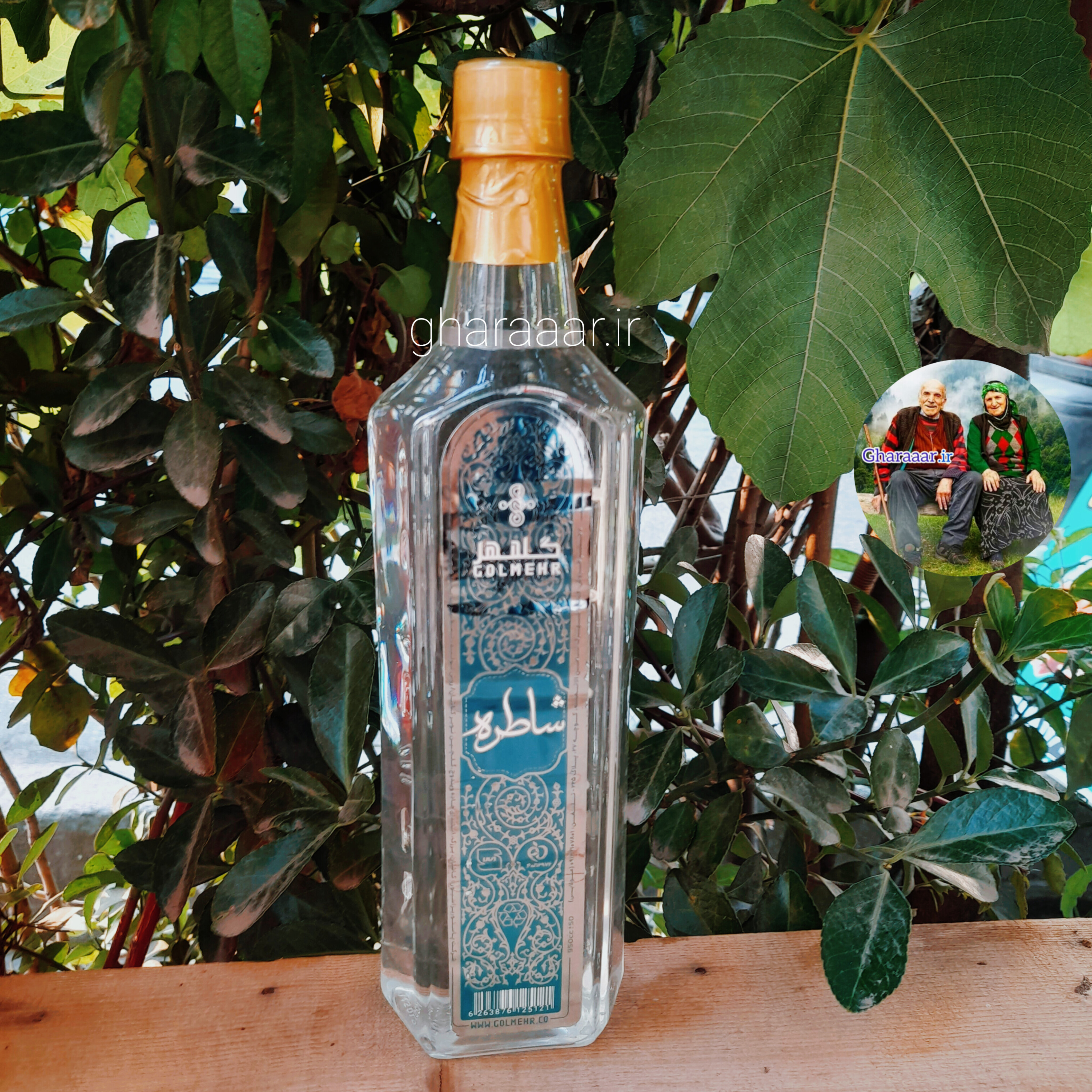 عرق شاتره (شاطره) گلمهر