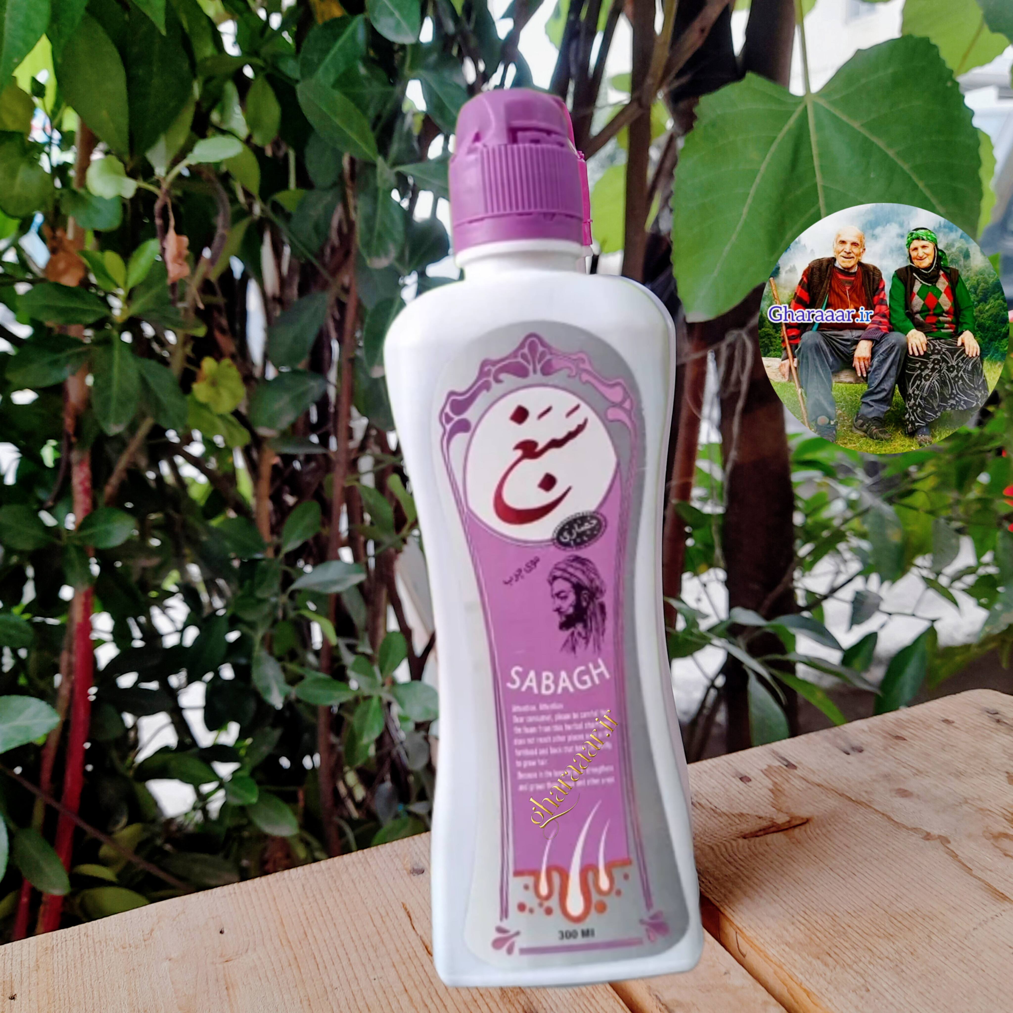 شامپو سبغ حصاری (چرب)