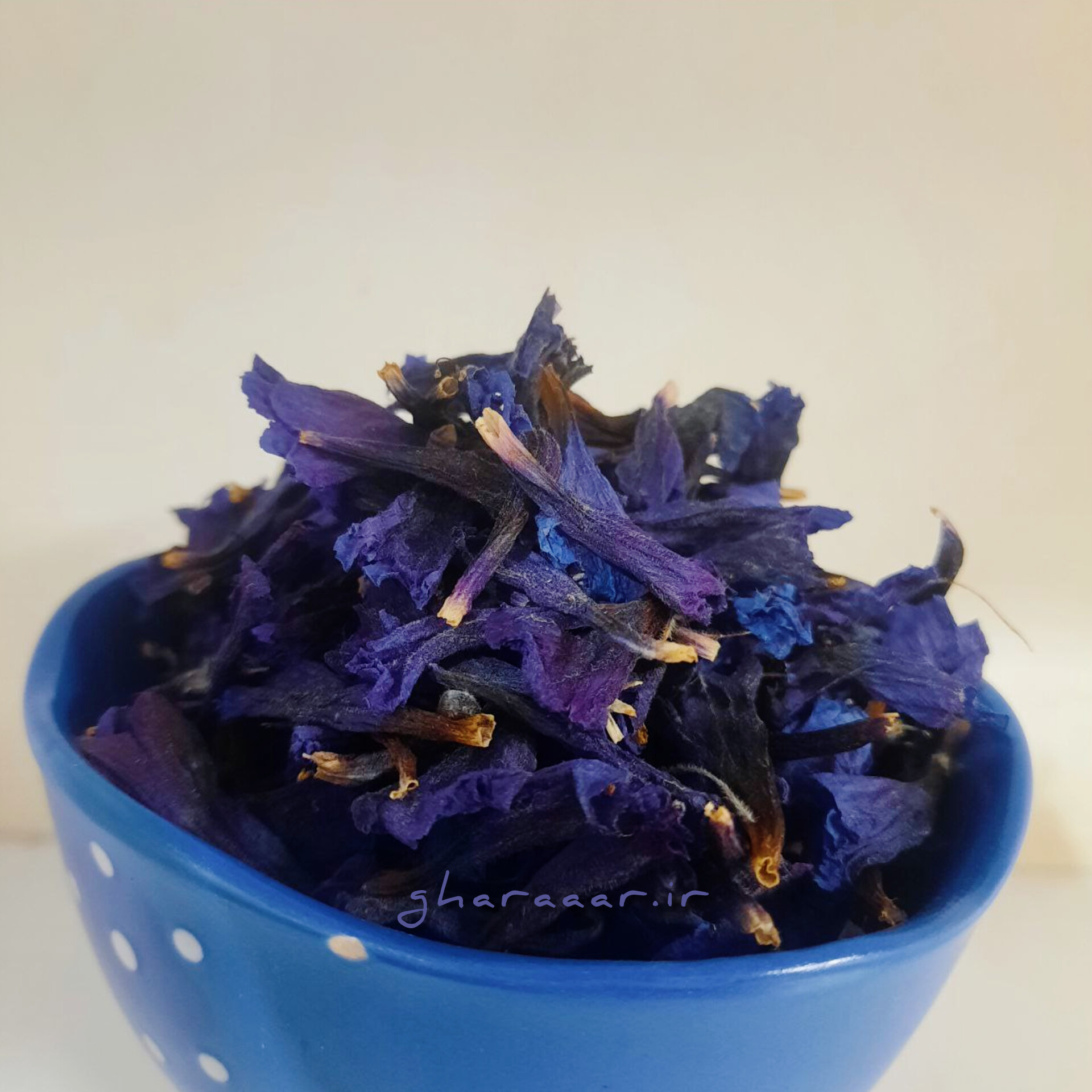 گل گاوزبان