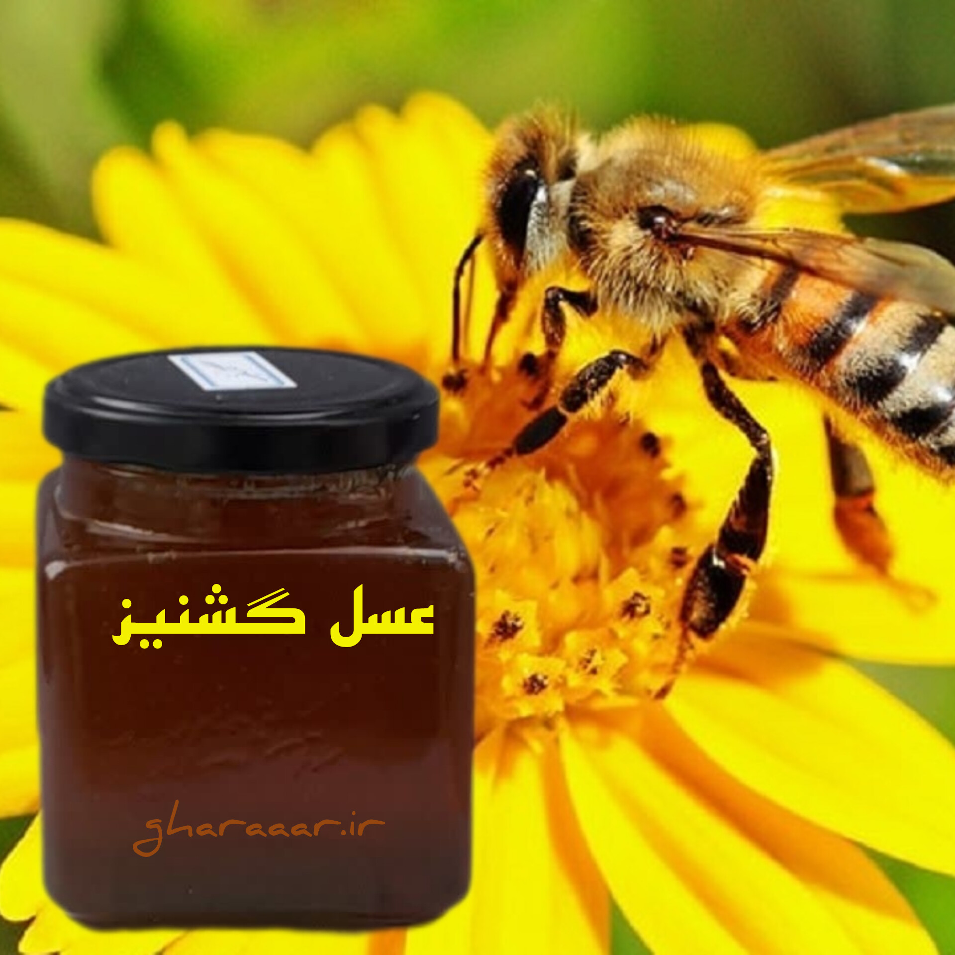 عسل گشنیز شیشه‌ای ۴۵۰ گرم