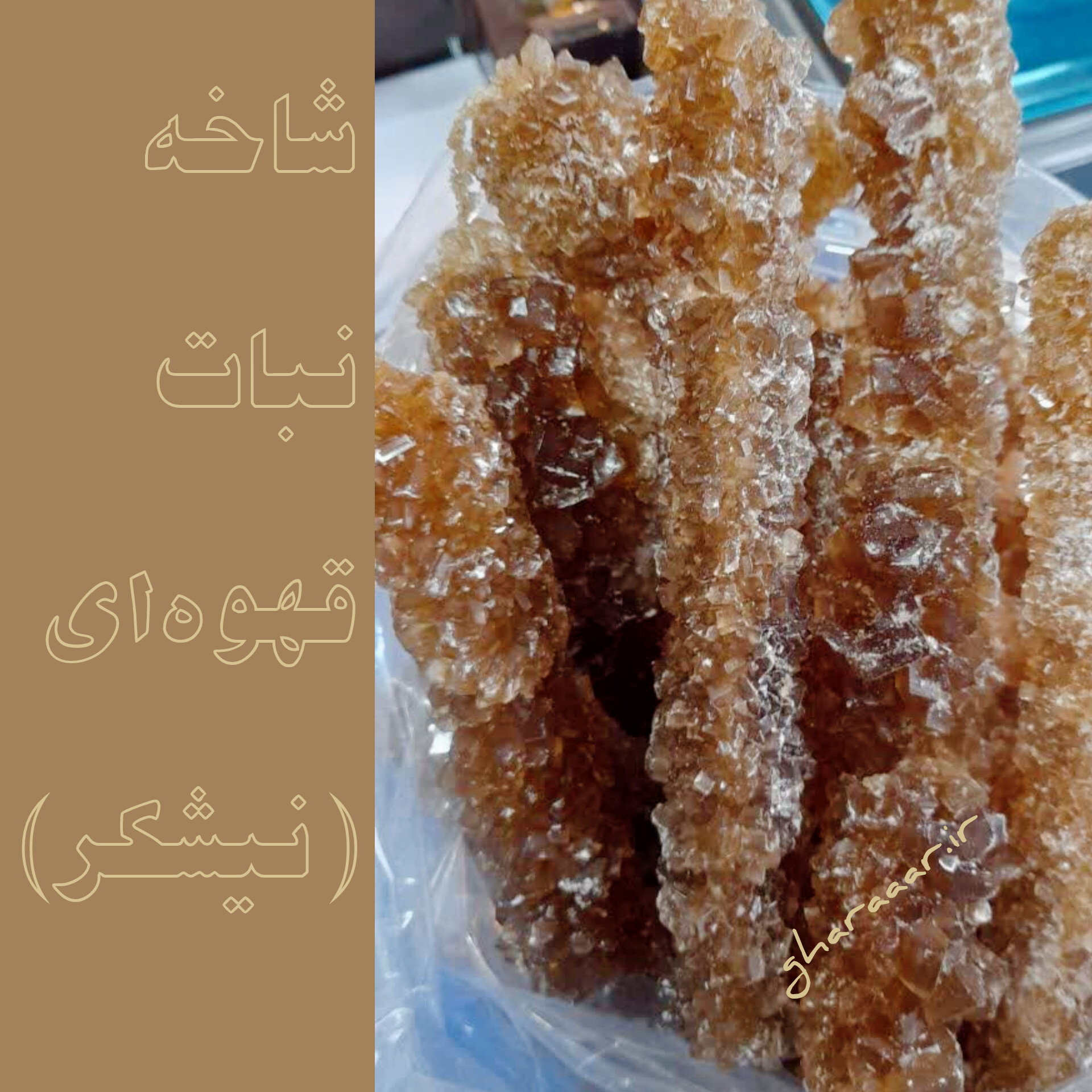 شاخه نبات قهوه‌ای ( نیشکر )
