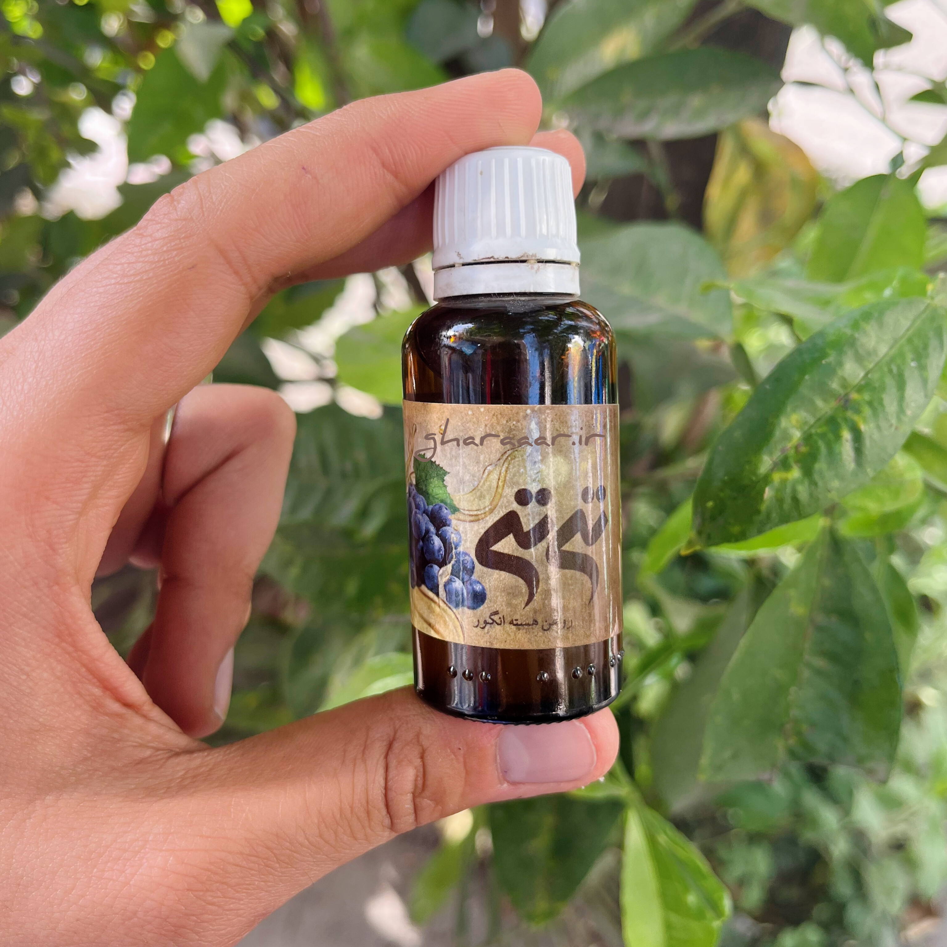 روغن هسته انگور مالشی ۳۰ میلی تی‌تی