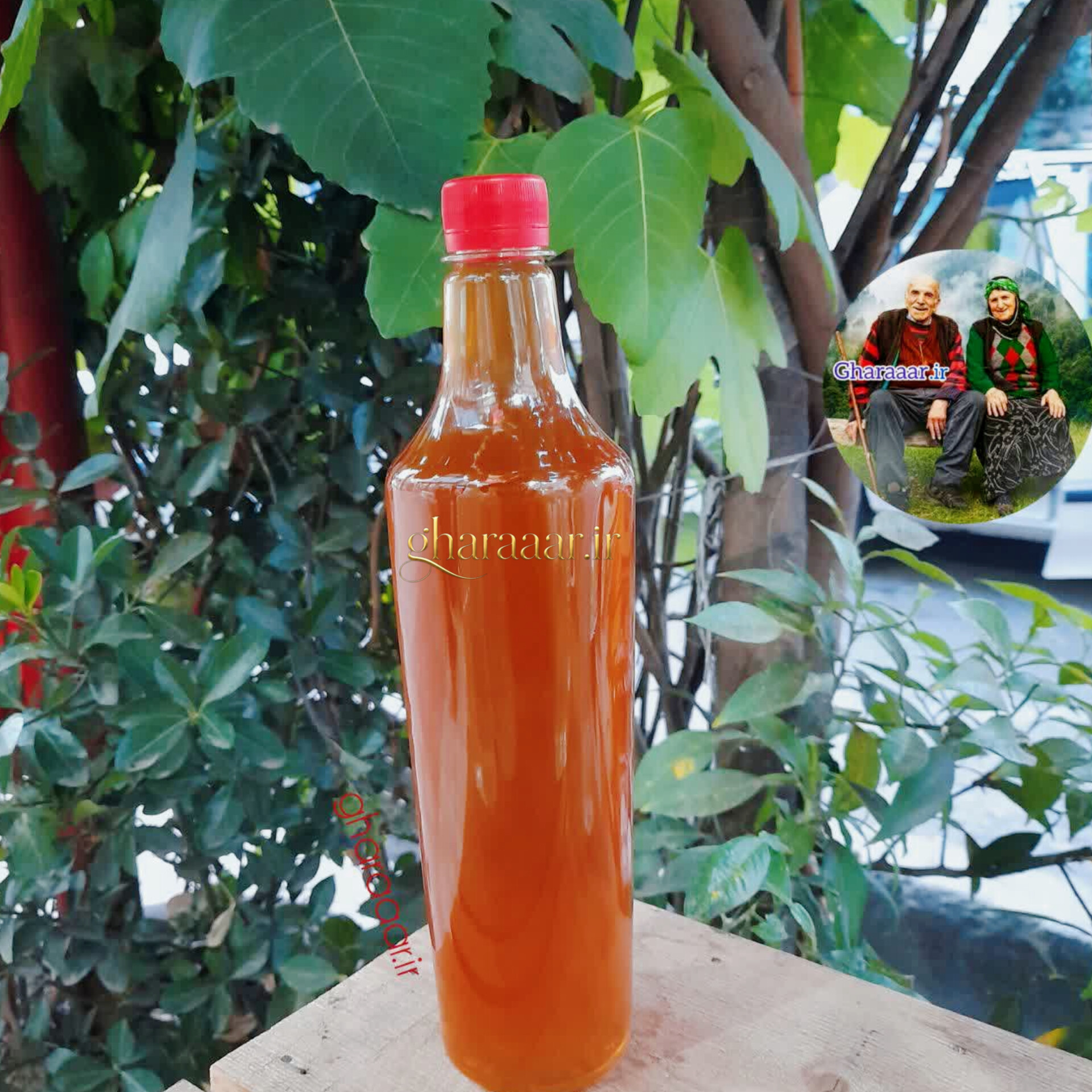سرکه انگبین کاسنی با عسل خوب