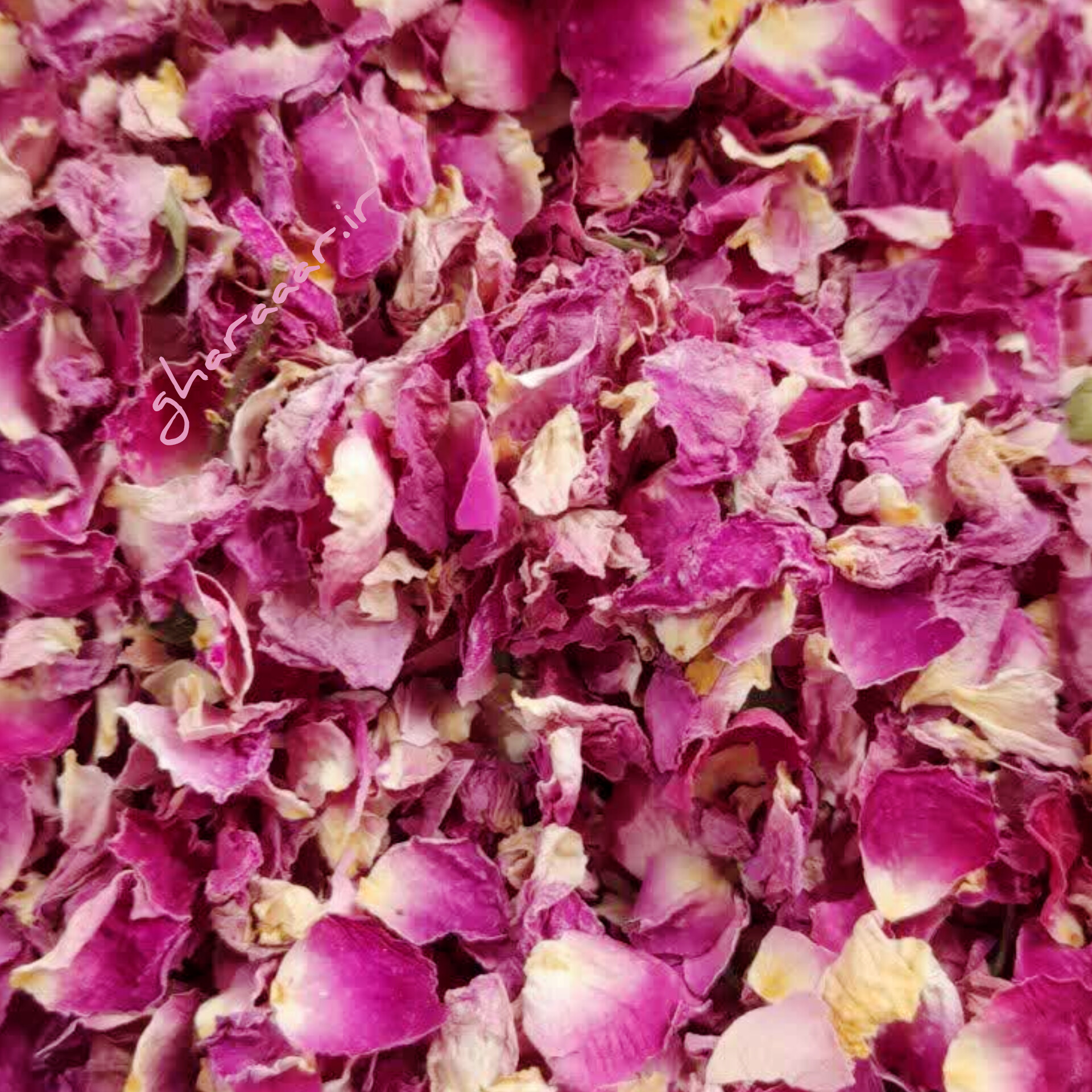 گلبرگ گل محمدی ۱۰۰ گرم