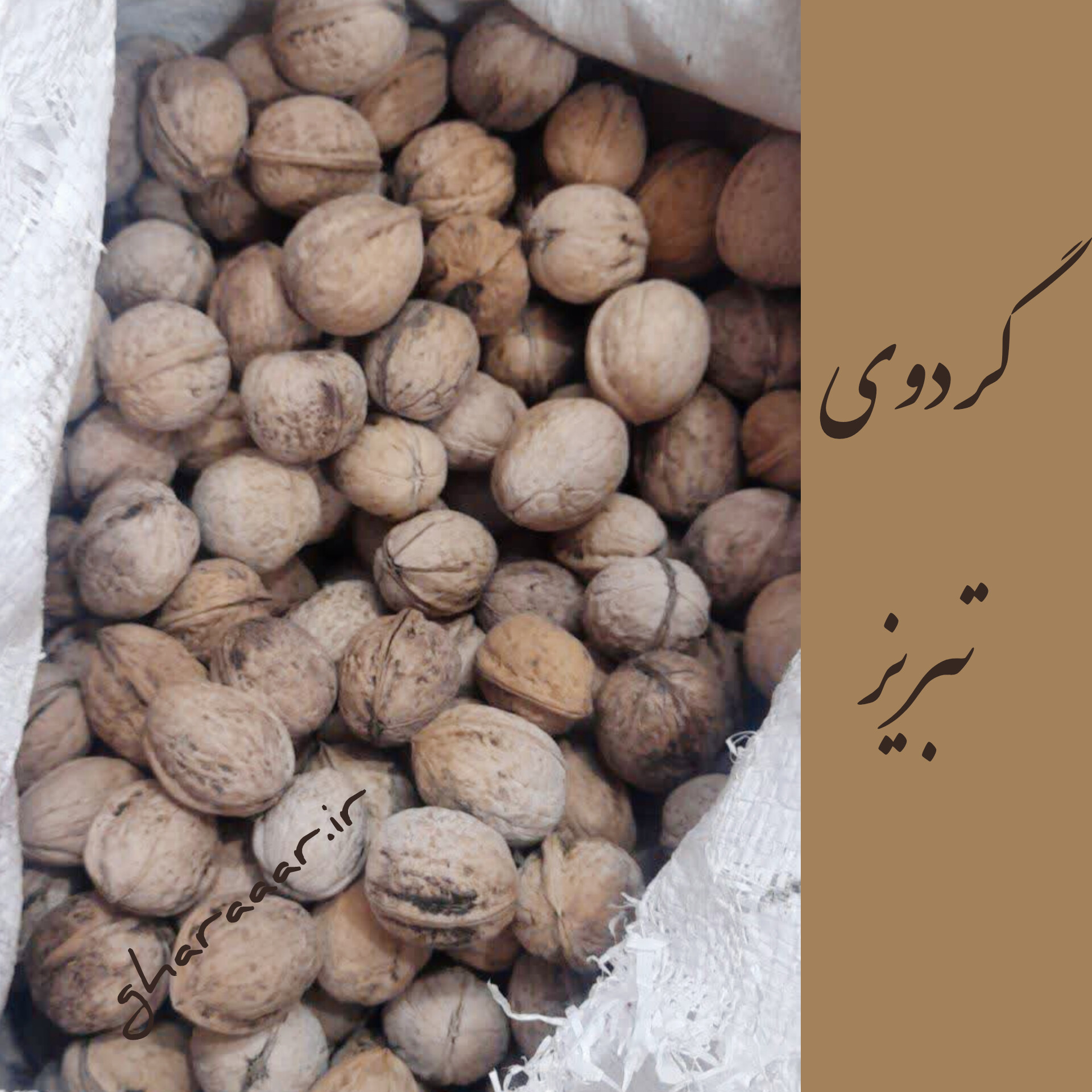گردو تبریز