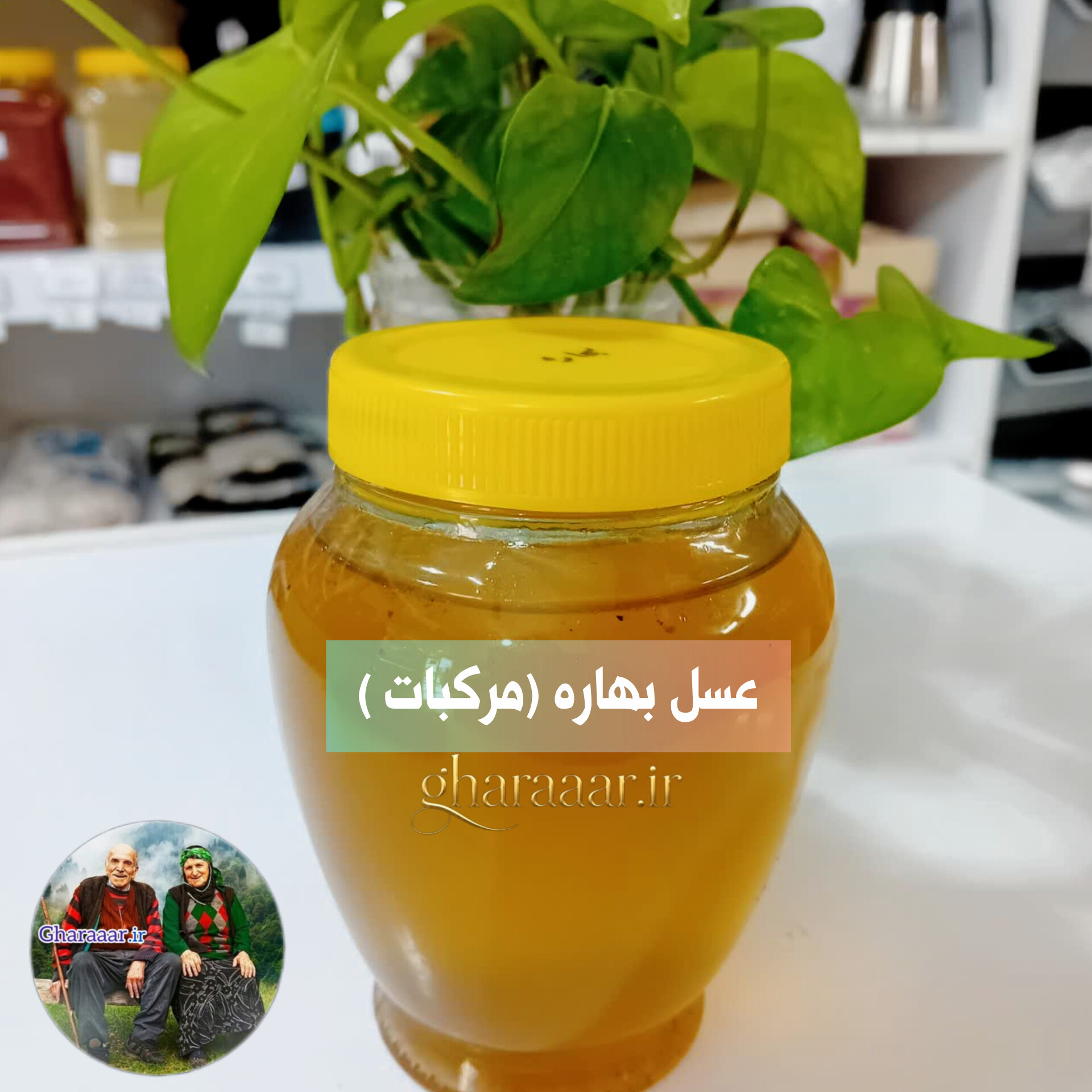عسل بهاره (مرکبات) نیم کیلویی