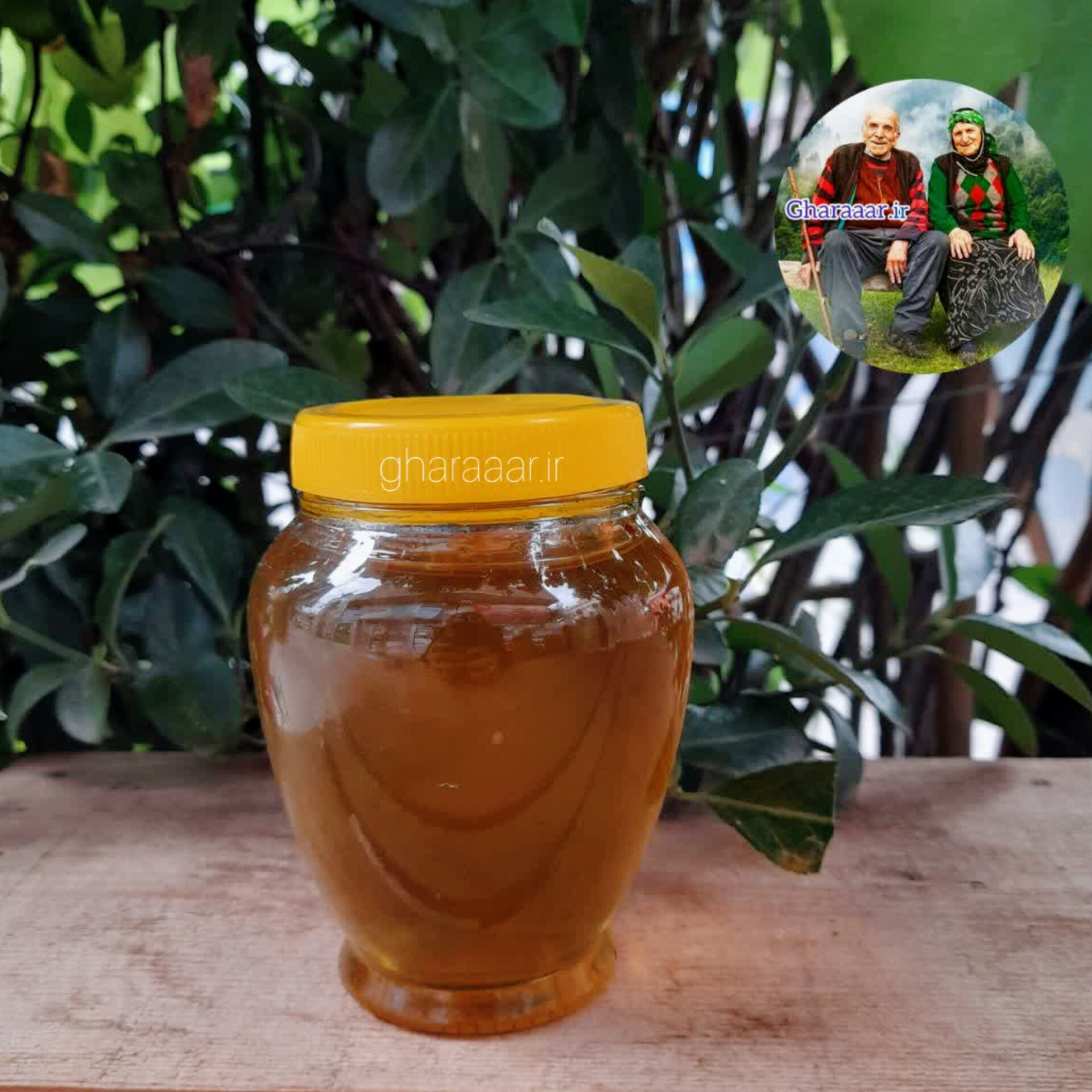 عسل بهاره شیشه‌ای ۴۵۰ گرم