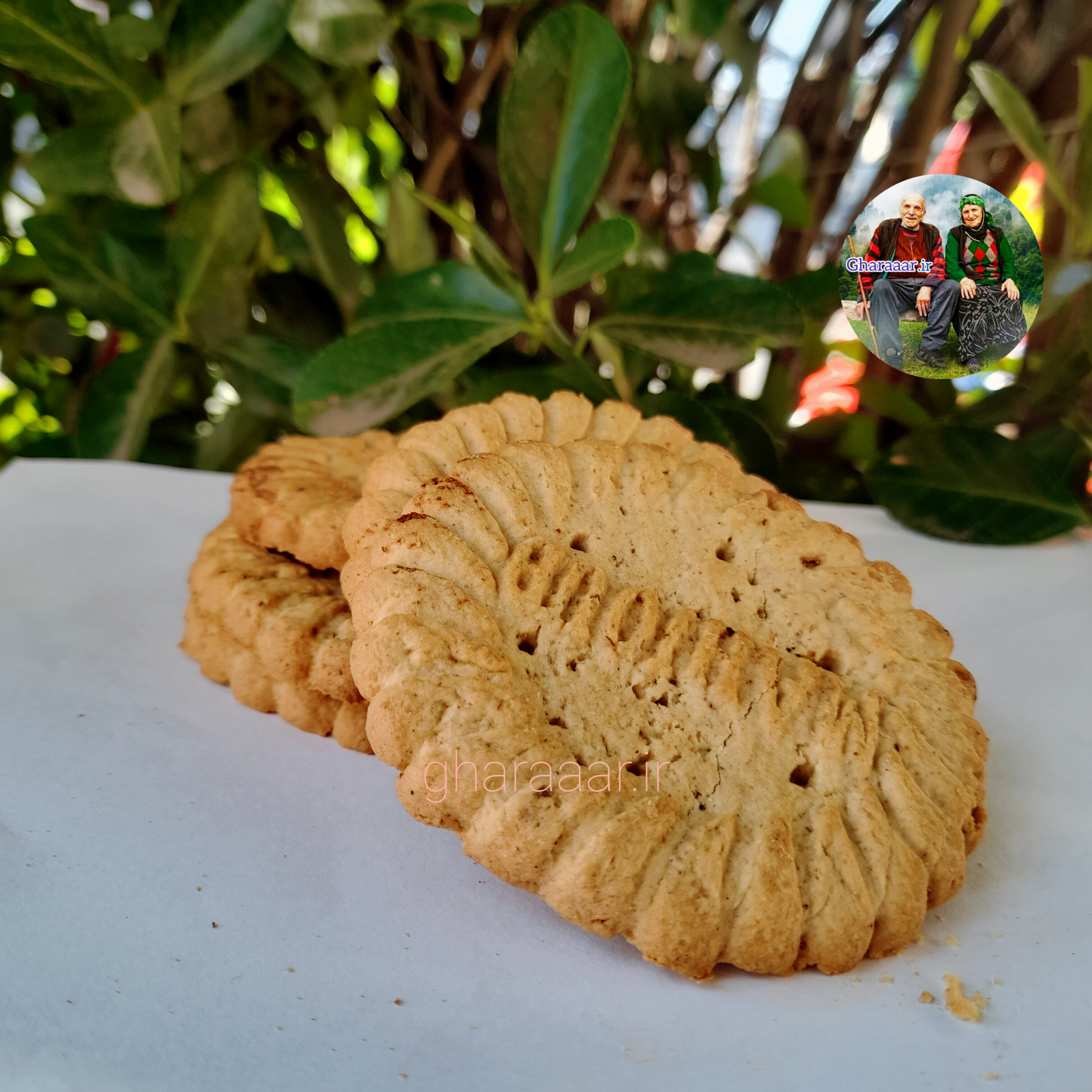 بیسکویت سنجد و عناب دیلانچی (کیلویی)