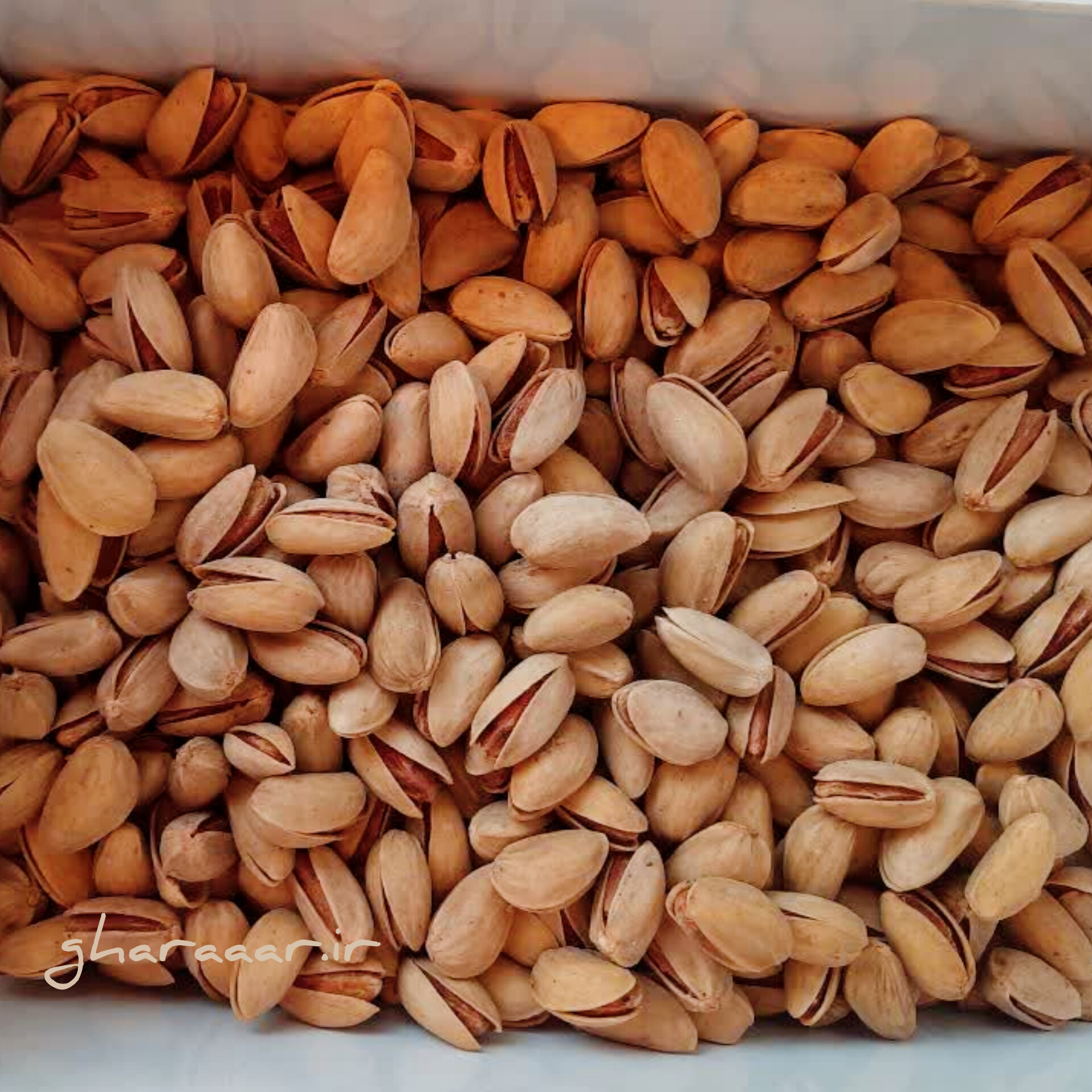 پسته اکبری درجه یک